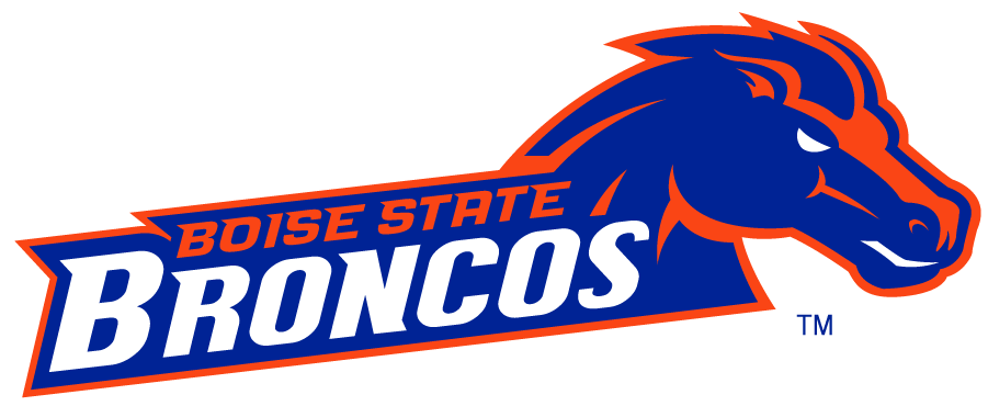 Boise State Broncos 2002-2012 Secondary Logo v28 diy iron on heat transfer